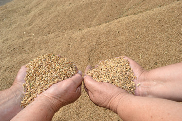 Similar image 725678