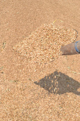 Similar image 725685