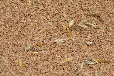 Similar image 725698