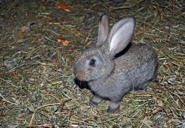 Similar image 725701