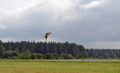 Similar image 725703