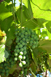 Similar image 725709