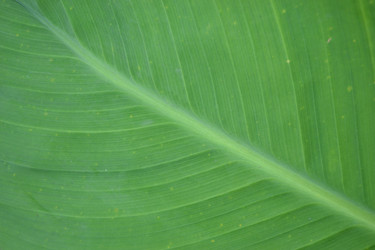 Similar image 725713