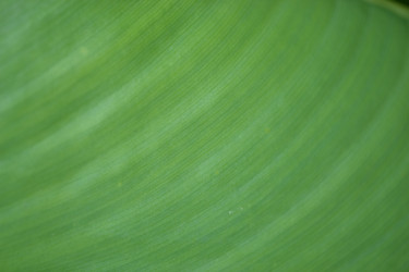 Similar image 725716