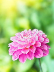 Similar image 725878