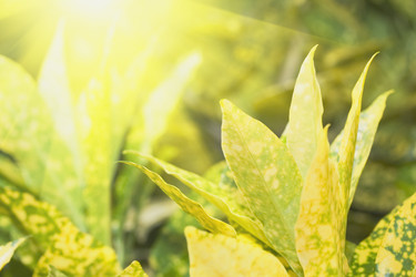 Similar image 725885