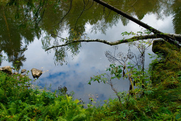 Similar image 725890