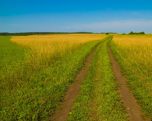 Similar image 725892