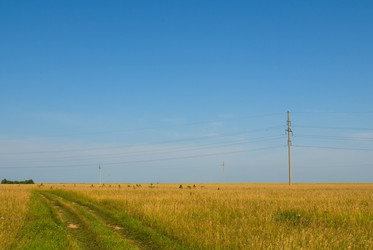 Similar image 725893