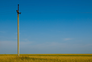 Similar image 725894