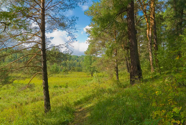 Similar image 725896