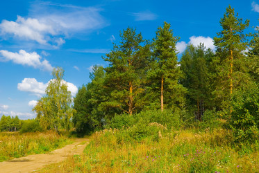 Similar image 725897