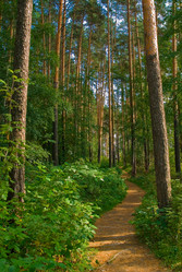 Similar image 725898