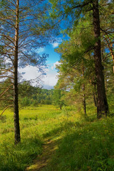 Similar image 725899