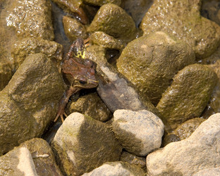 Similar image 725903