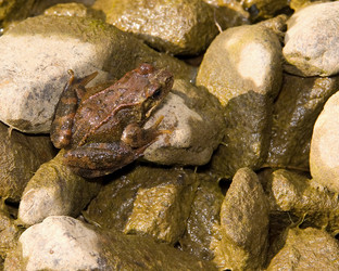 Similar image 725904