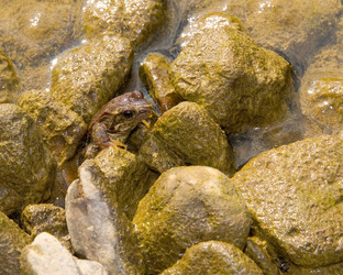 Similar image 725905