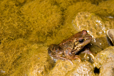 Similar image 725906