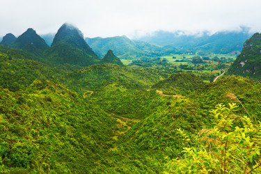 Similar image 725937