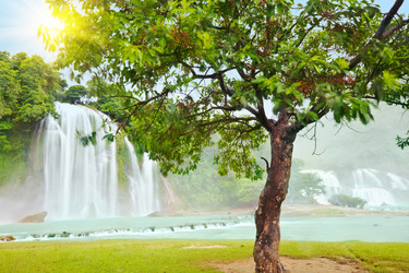 Similar image 725964