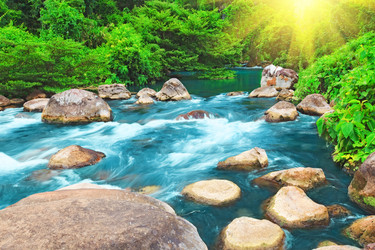 Similar image 725974