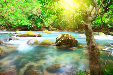 Similar image 725975