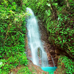 Similar image 726008