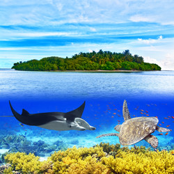 Similar image 726023