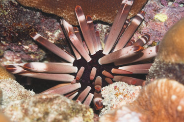 Similar image 726028