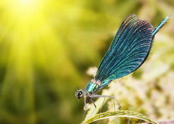 Similar image 726033