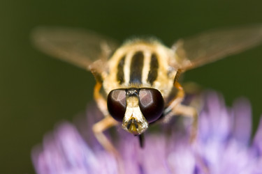 Similar image 726037