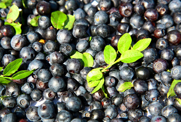 Similar image 726079