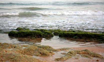 Similar image 726084