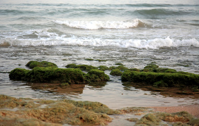 Similar image 726085