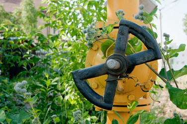 Similar image 726095