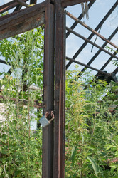 Similar image 726109