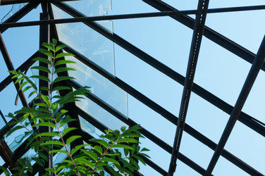 Similar image 726111