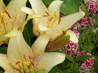 Similar image 726117