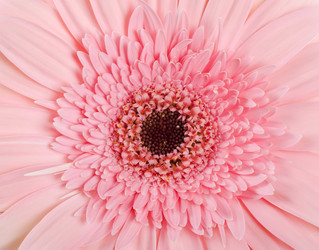 Similar image 726123