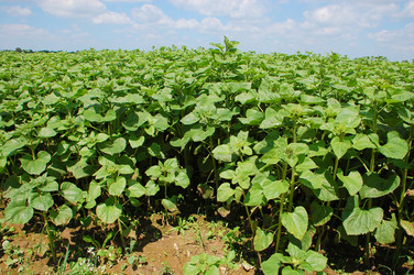 Similar image 726127