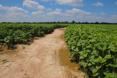 Similar image 726129