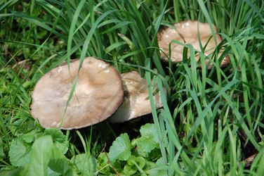 Similar image 726142