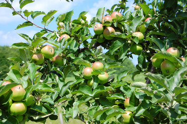 Similar image 726145