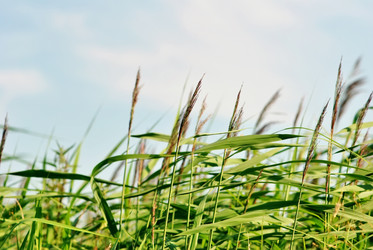 Similar image 726147