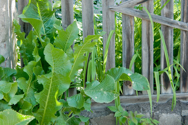 Similar image 726148