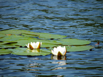 Similar image 726151