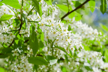 Similar image 726231