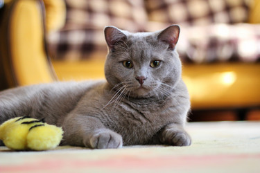 Similar image 726493