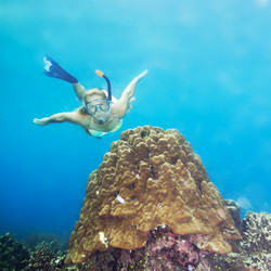 Similar image 726550