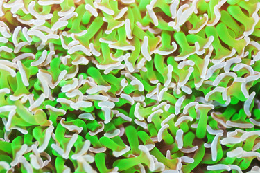 Similar image 726558